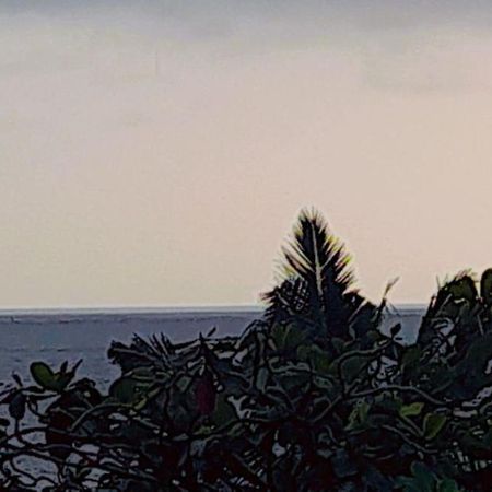 Mirissa Village Mirissa Luaran gambar